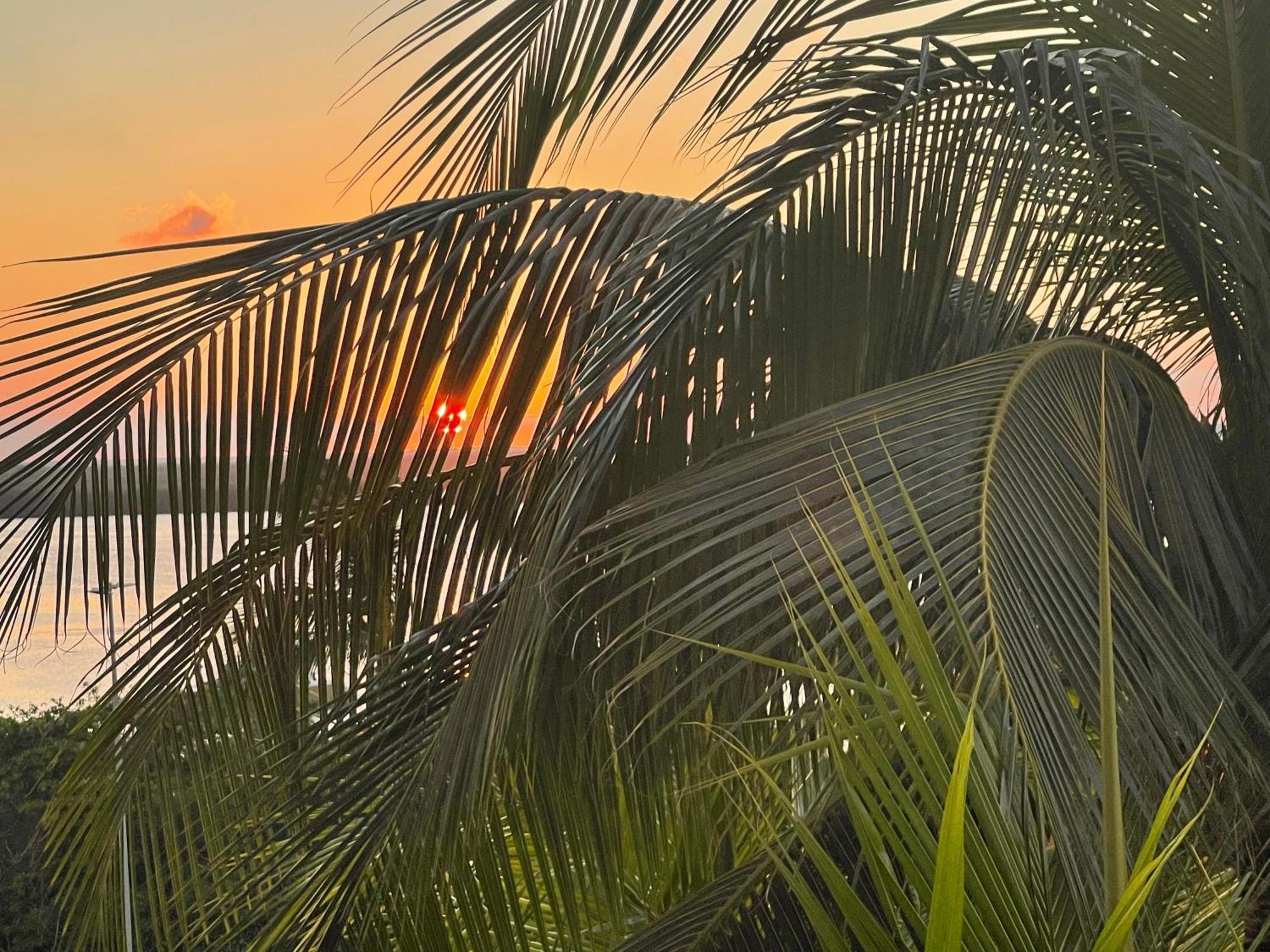 Ova Apartments Cancún Eksteriør billede